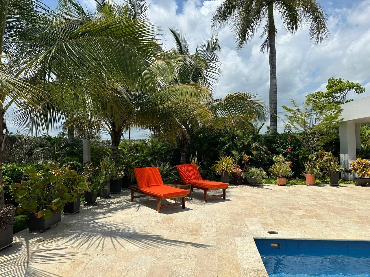 WhatsApp-Image-2025-03-13-at-10.00.12-AM