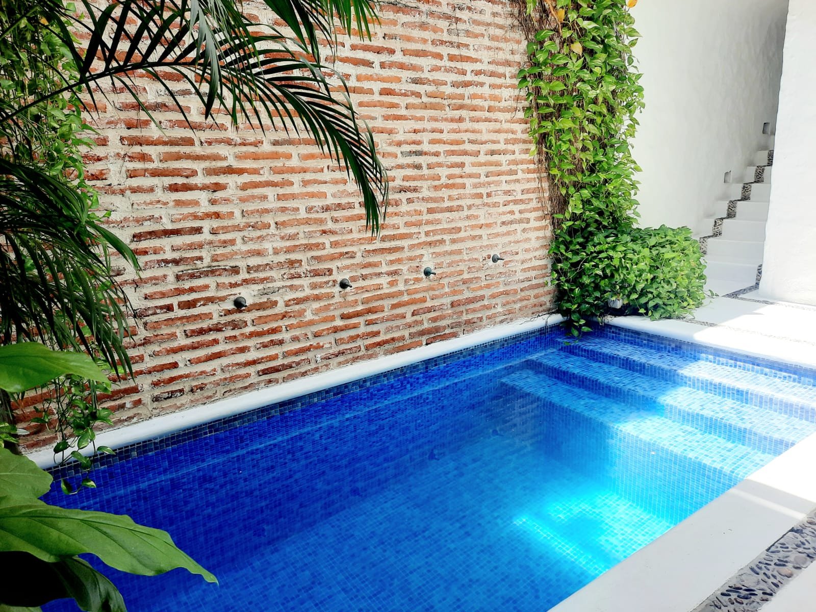 WhatsApp-Image-2026-03-25-at-9.32.02-AM-3